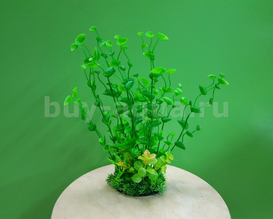 Растение Prime Z-1406