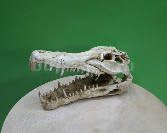 Декор Nemoy Pet NS-60