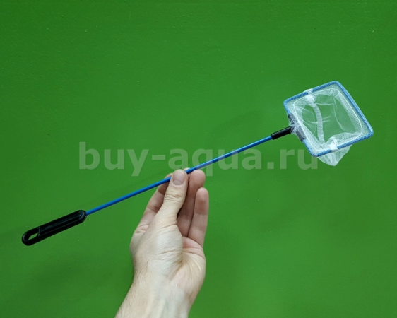 Сачок Barbus blue