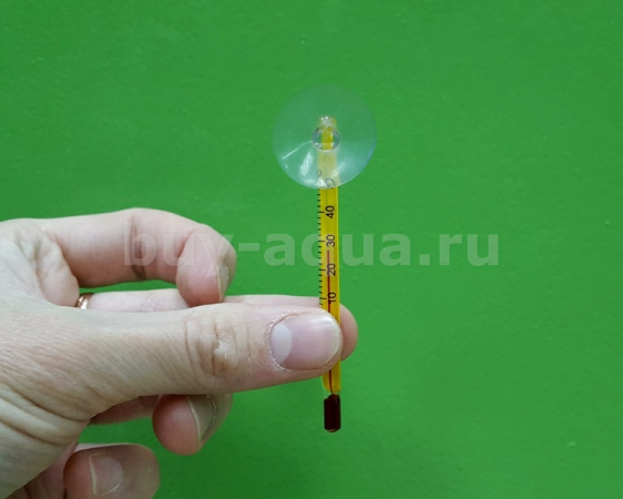 Градусник Naribo мини