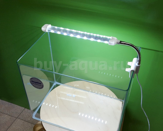 Barbus Led Mini Light