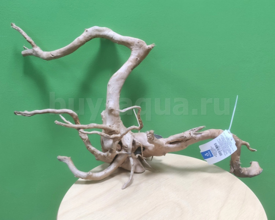 Коряга Сакура Номер 478