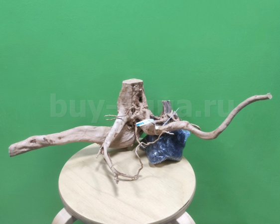 Коряга Сакура Номер 473